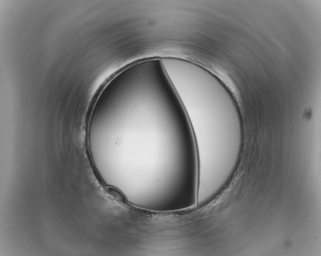 X0000091290944200708101023