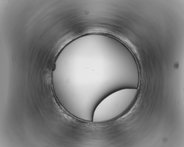 X0000091290945200708101023