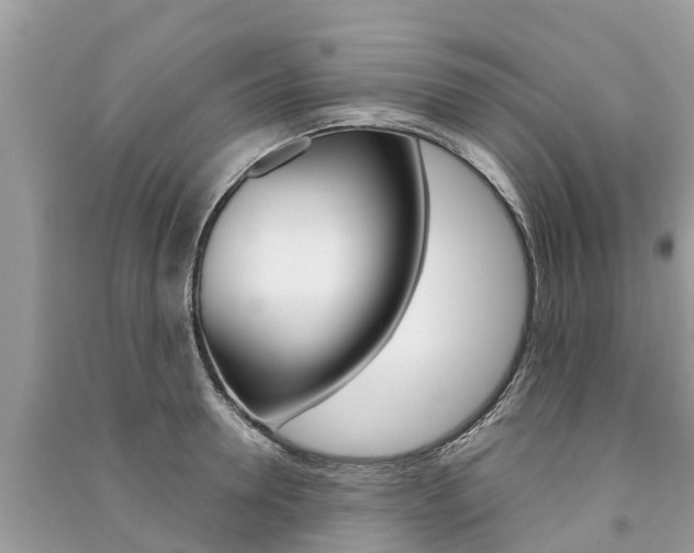 X0000091290946200708101023