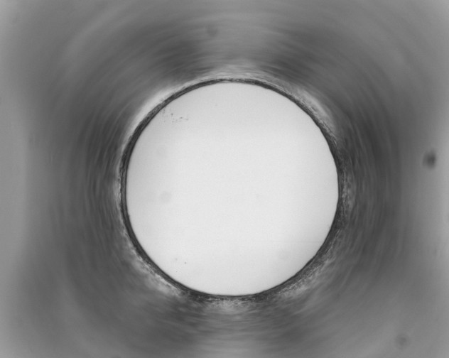 X0000091290950200708101023