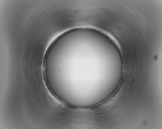 X0000091290951200708101023