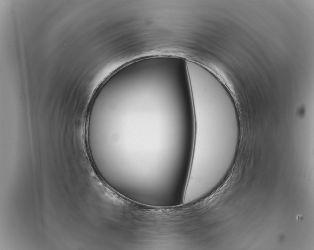 X0000091290952200708101023