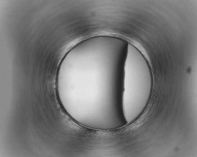 X0000091290954200708101023