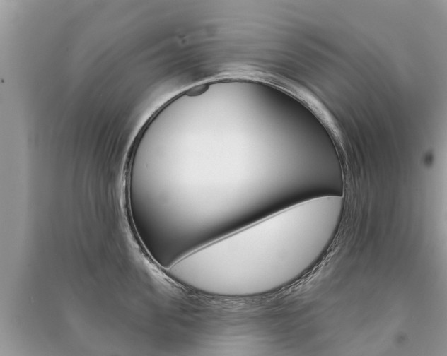 X0000091290955200708101023