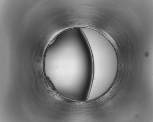 X0000091290956200708101023