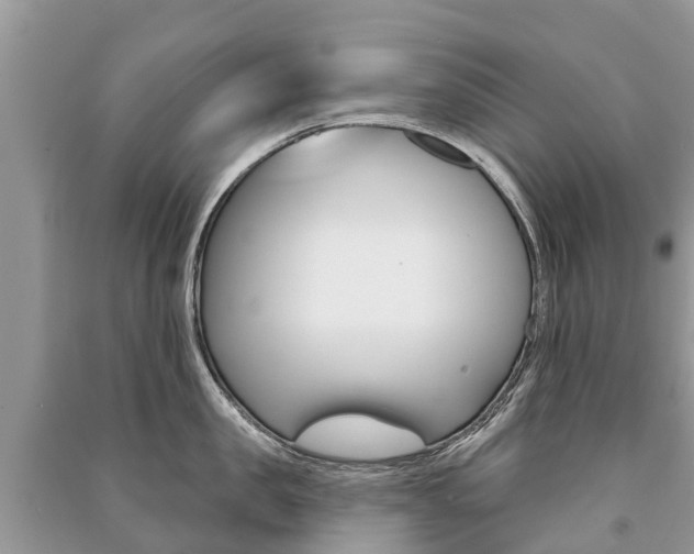 X0000091290957200708101023