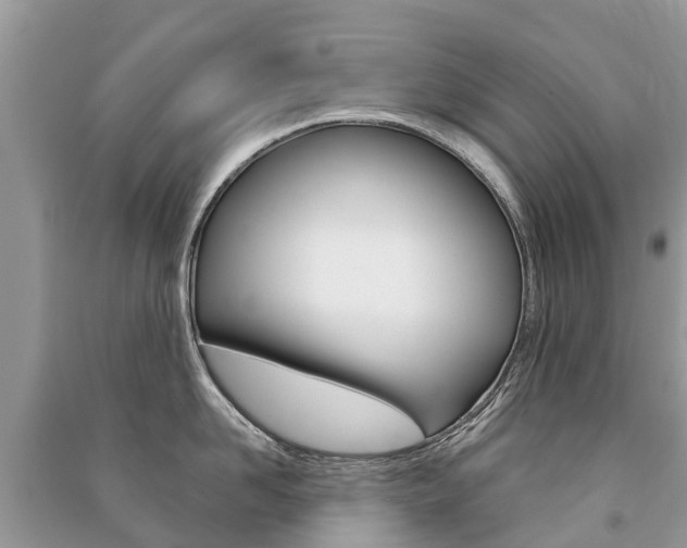 X0000091290958200708101023