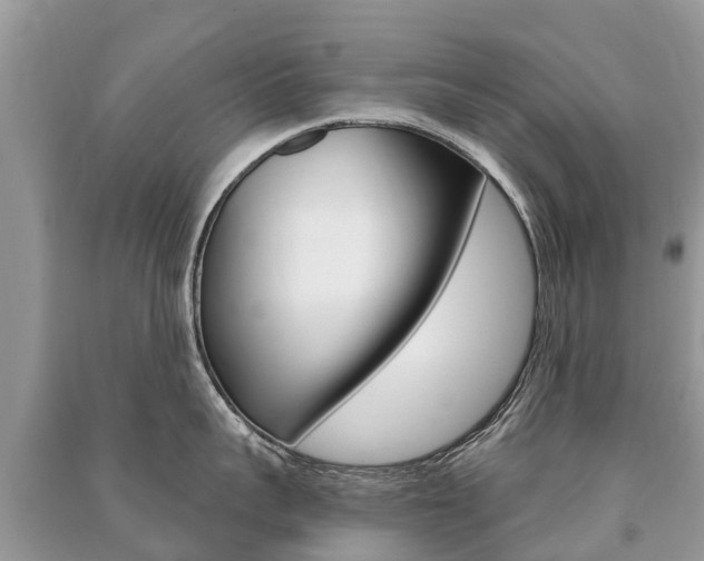 X0000091290959200708101023