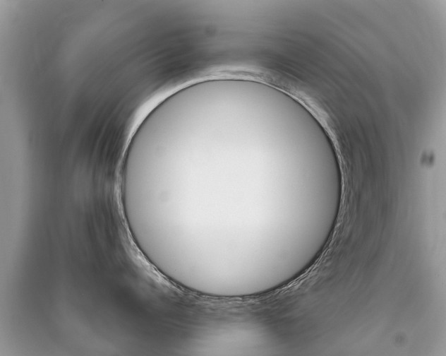 X0000091290960200708101023