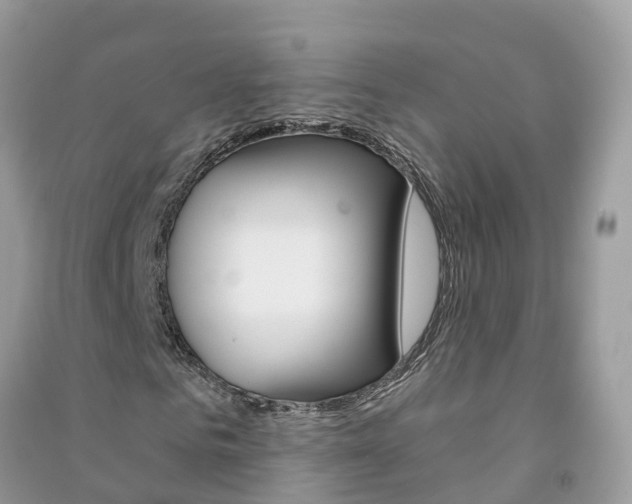 X0000091290961200708101022
