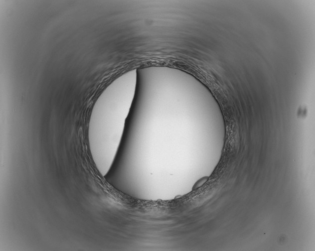 X0000091290962200708101022