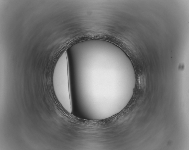 X0000091290963200708101022