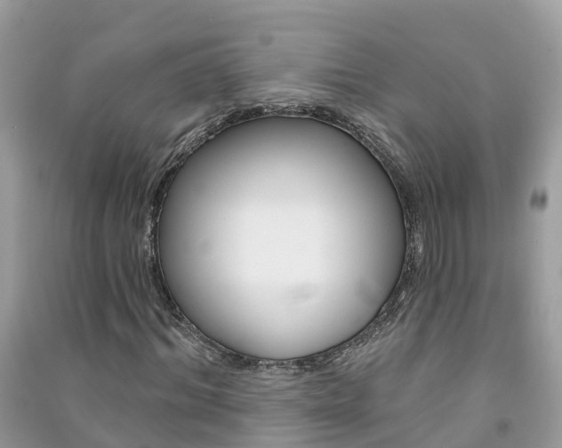 X0000091290964200708101022