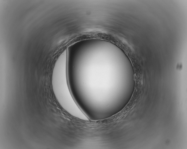 X0000091290965200708101022