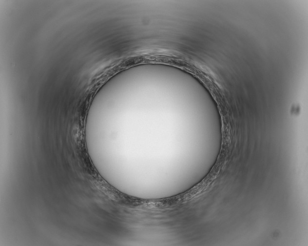 X0000091290966200708101022