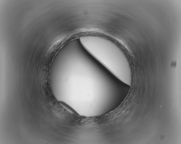 X0000091290967200708101022