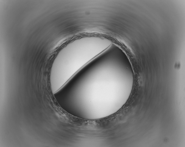X0000091290968200708101022