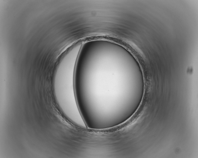 X0000091290969200708101022