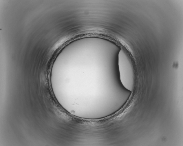 X0000091290970200708101022