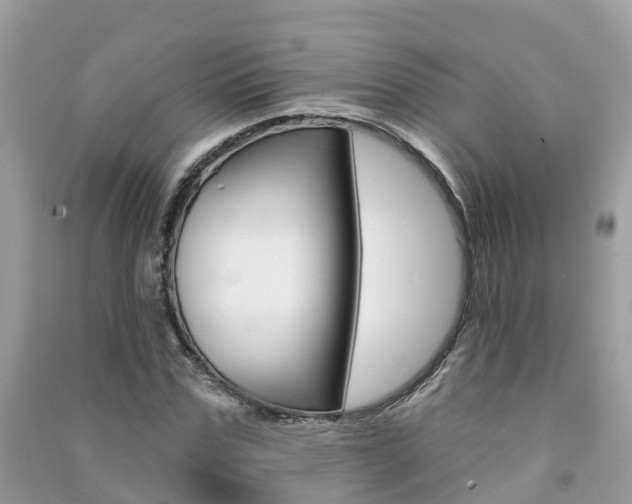 X0000091290971200708101022