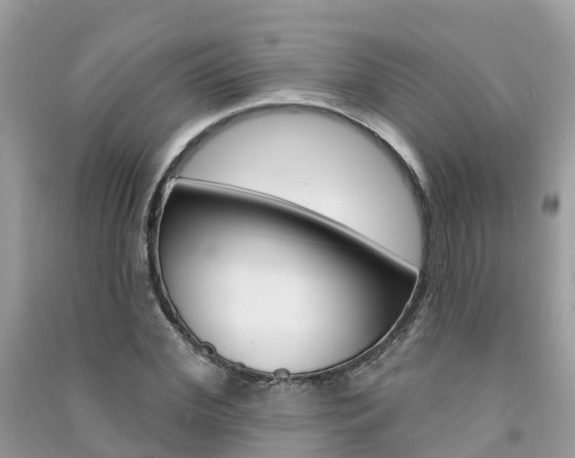 X0000091290972200708101022