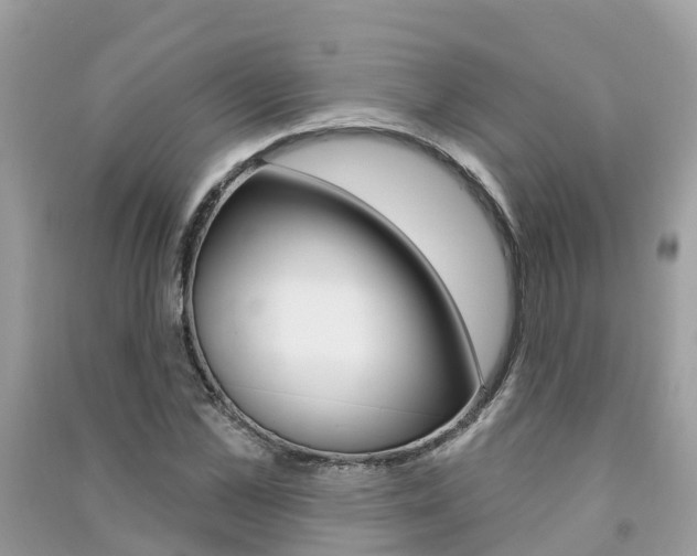 X0000091290973200708101022