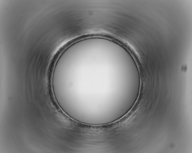 X0000091290975200708101022