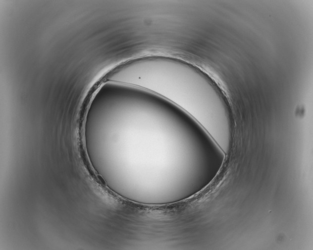 X0000091290976200708101022