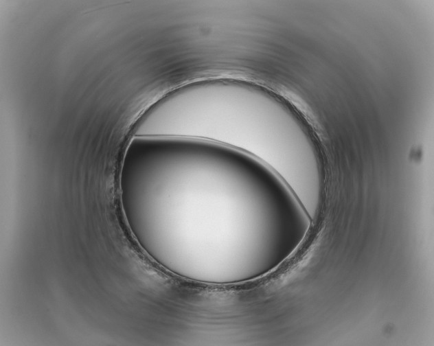 X0000091290977200708101022