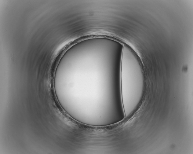 X0000091290979200708101022