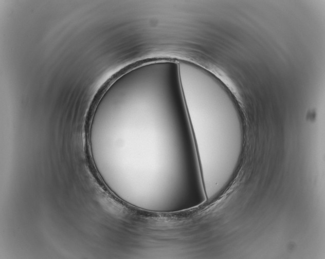 X0000091290980200708101022