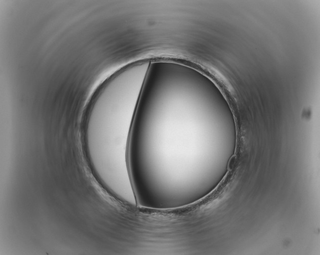 X0000091290981200708101022