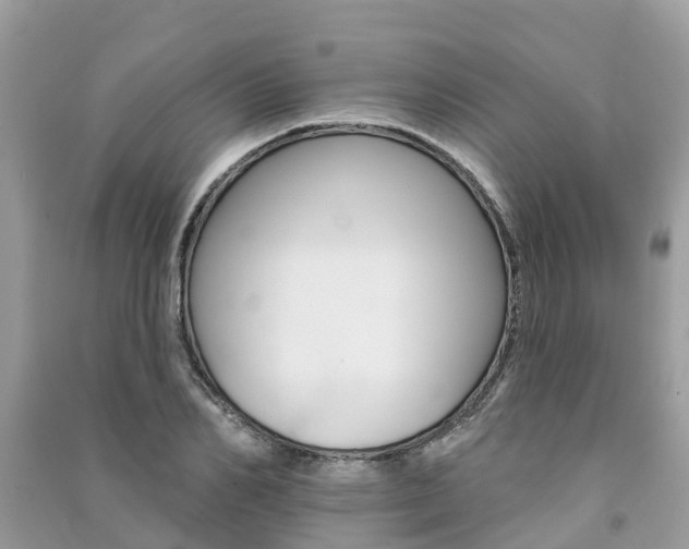 X0000091290982200708101022