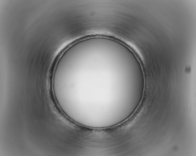 X0000091290983200708101022