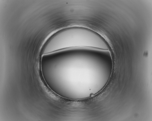 X0000091290984200708101022