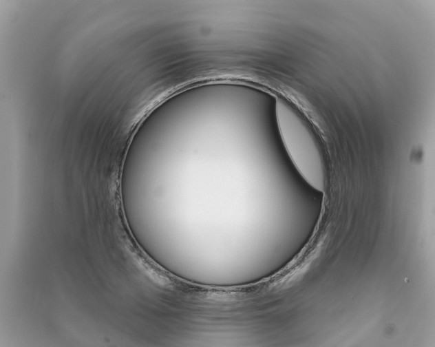 X0000091290985200708101022