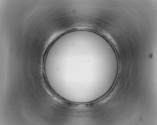 X0000091290986200708101022