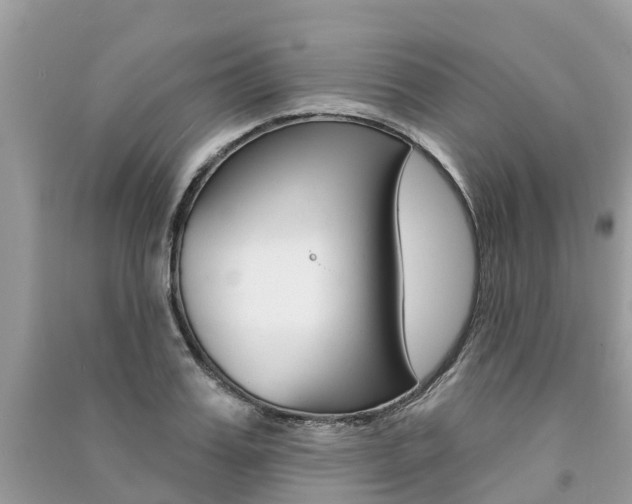 X0000091290987200708101022
