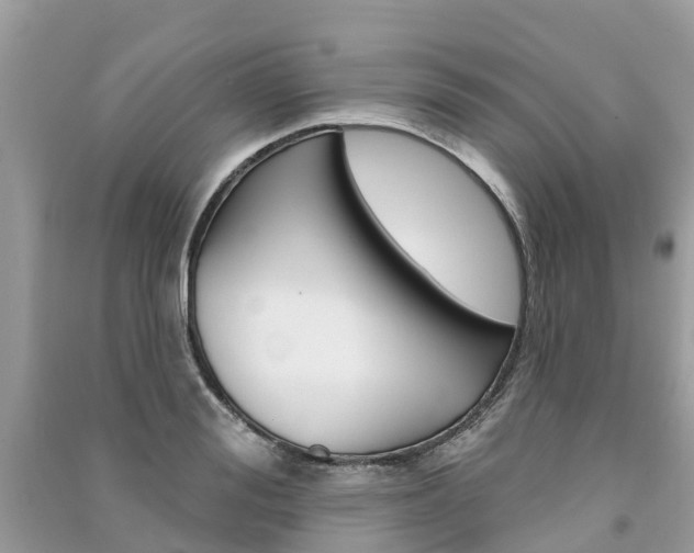 X0000091290988200708101022