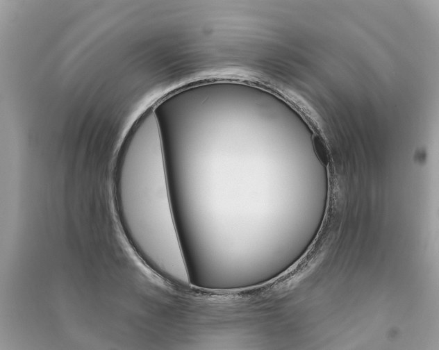 X0000091290989200708101022