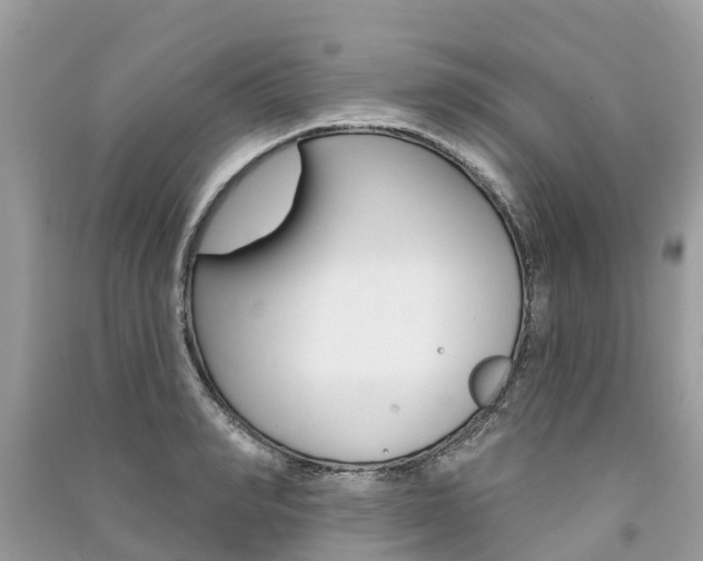 X0000091290990200708101022