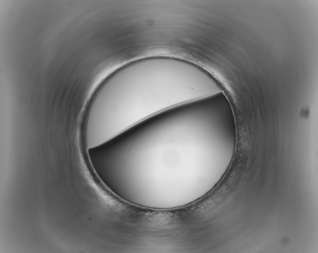 X0000091290991200708101022