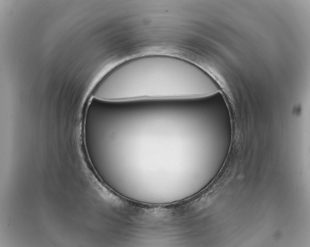 X0000091290992200708101022