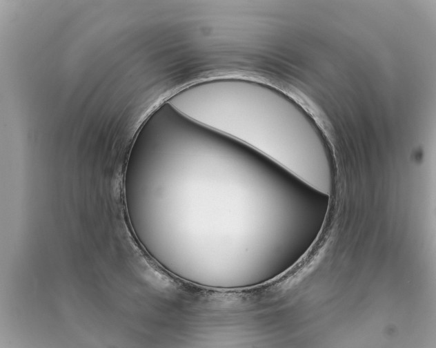 X0000091290993200708101022