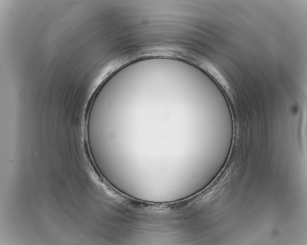X0000091290994200708101022