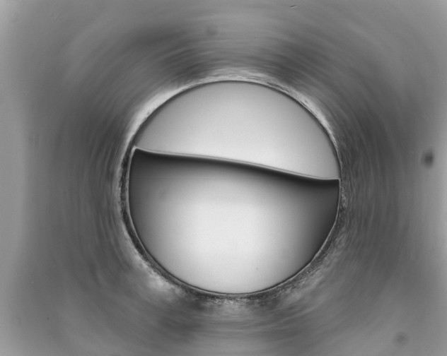 X0000091290995200708101022