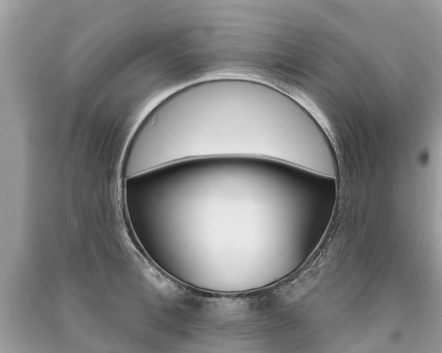 X0000091290996200708101022