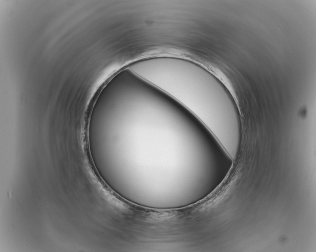 X0000091290997200708101022