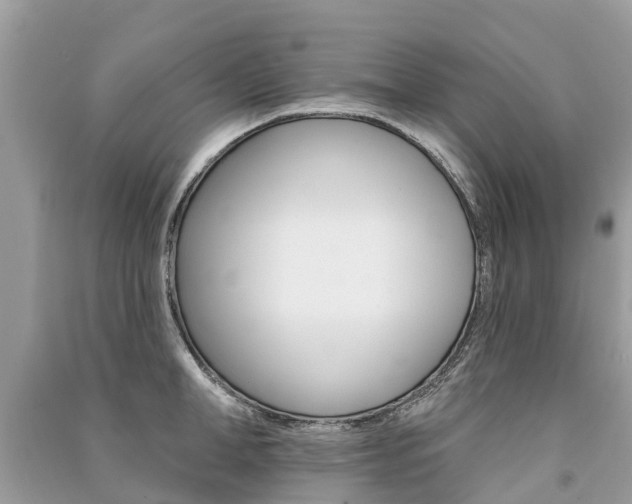X0000091290998200708101022