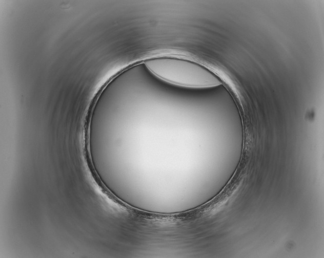 X0000091290999200708101022